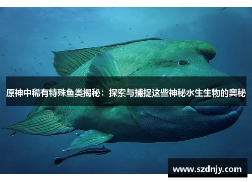 原神中稀有特殊鱼类揭秘：探索与捕捉这些神秘水生生物的奥秘