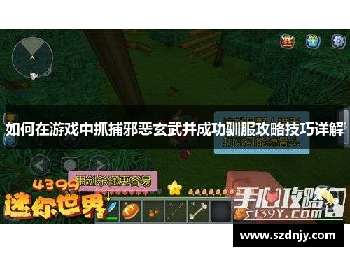 如何在游戏中抓捕邪恶玄武并成功驯服攻略技巧详解