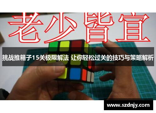 挑战推箱子15关极限解法 让你轻松过关的技巧与策略解析