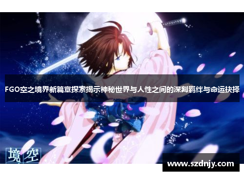 FGO空之境界新篇章探索揭示神秘世界与人性之间的深刻羁绊与命运抉择