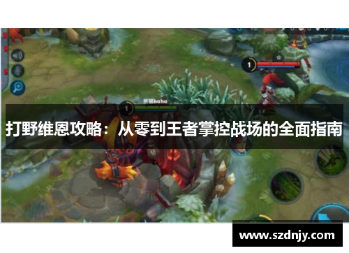 打野维恩攻略：从零到王者掌控战场的全面指南