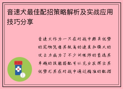 音速犬最佳配招策略解析及实战应用技巧分享